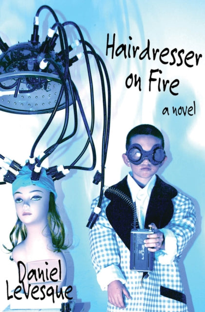 Hairdresser On Fire: A Novel