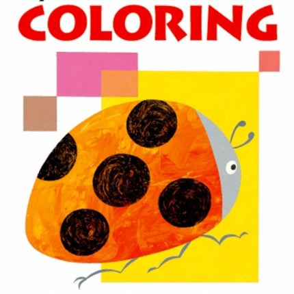 My Book Of Coloring  Us Edition