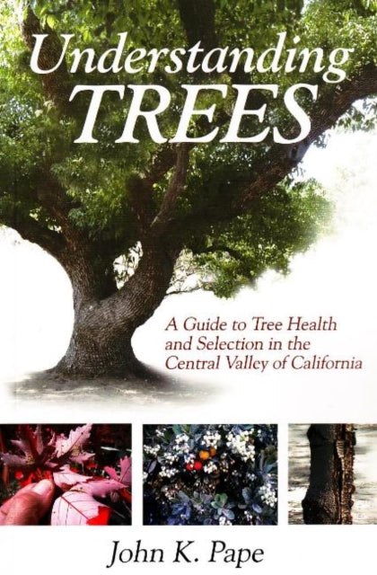 Understanding Trees: A Guide to Tree Health & Selection in the Central Valley of California