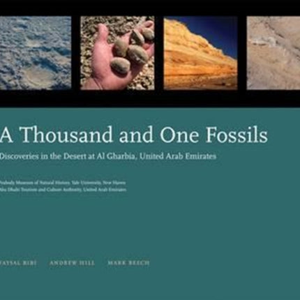 A Thousand and One Fossils: Discoveries in the Desert at Al Gharbia, United Arab Emirates