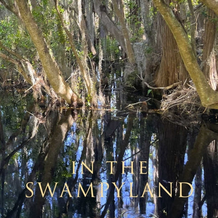 In the Swampyland