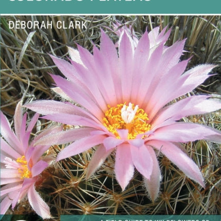Wildflowers of Utahâs Colorado Plateau
