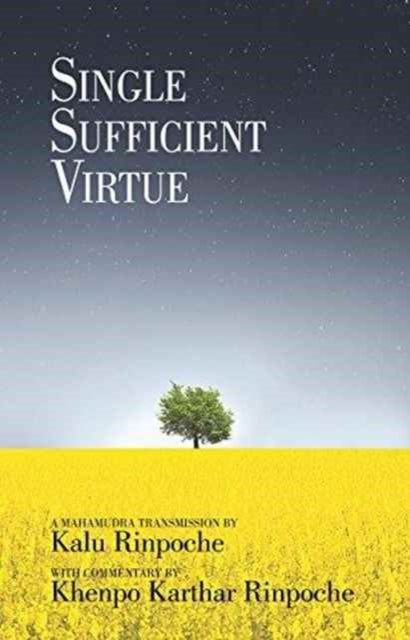 Single Sufficient Virtue