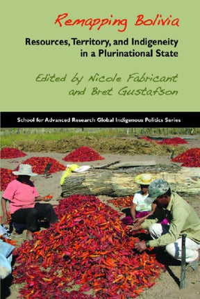 Remapping Bolivia: Resources, Territory and