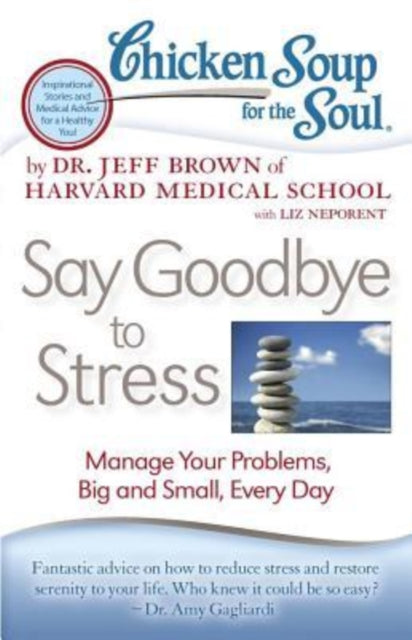 Chicken Soup for the Soul: Say Goodbye to Stress: Manage Your Problems, Big and Small, Every Day