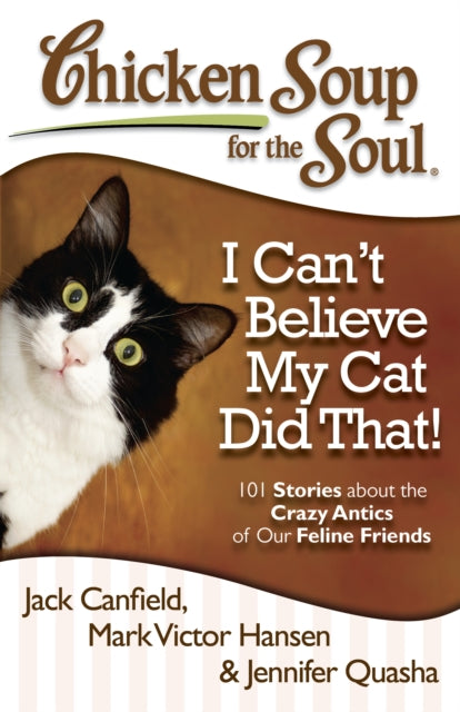 Chicken Soup for the Soul I Cant Believe My Cat Did That 101 Stories about the Crazy Antics of Our Feline Friends