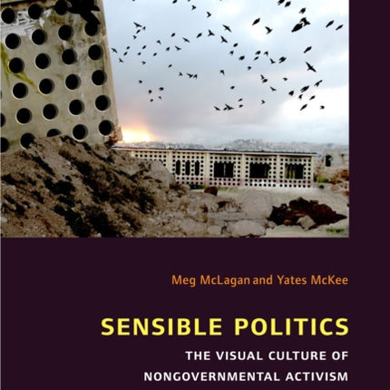 Sensible Politics: The Visual Culture of Nongovernmental Activism