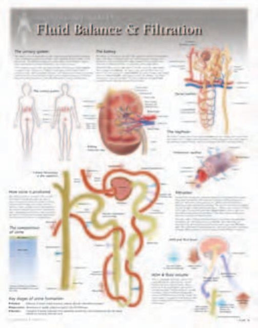 Fluid Balance & Filtration Laminated Poster