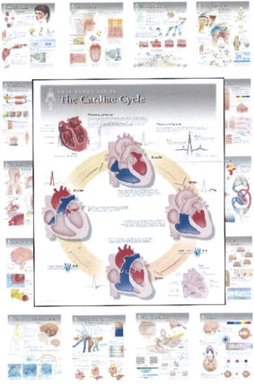 Complete Set of All 20 Physiology Charts