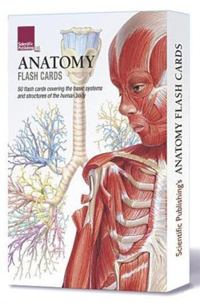 Anatomy Flash Cards