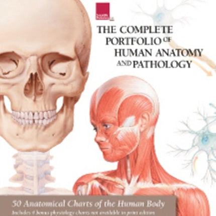 Complete Portfolio of Human Anatomy & Pathology