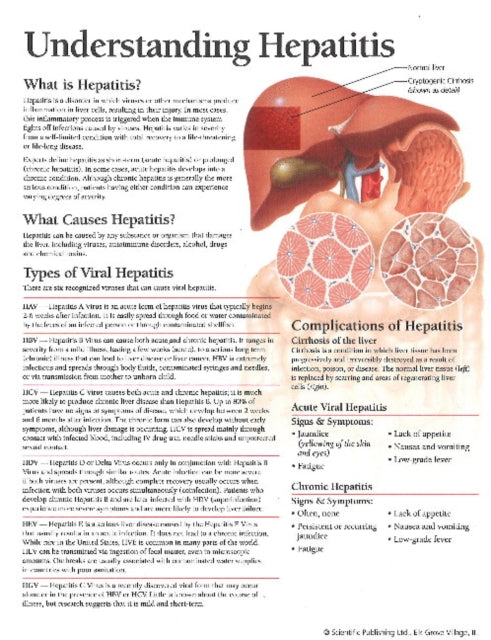 Understanding Hepatitis Model