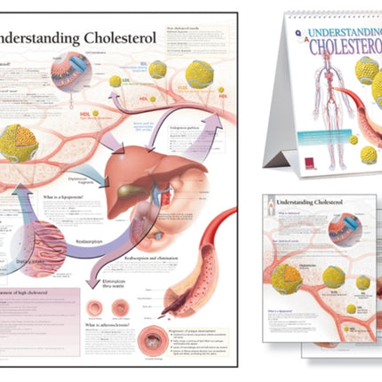 Understanding Cholesterol Study Set