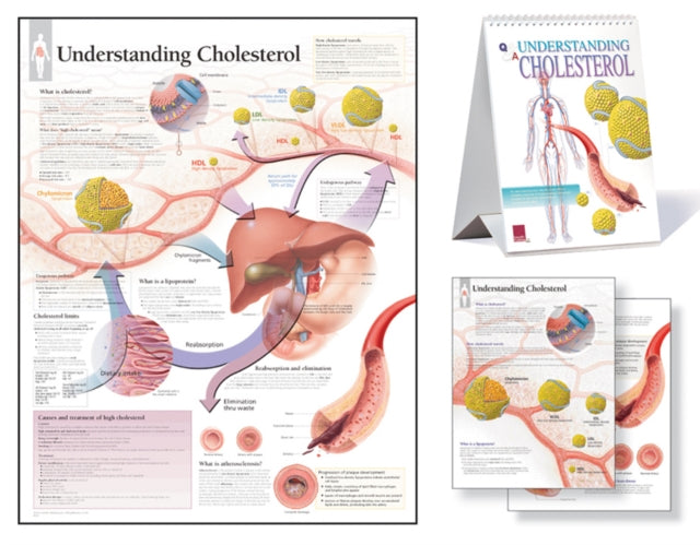 Understanding Cholesterol Study Set