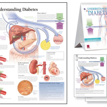 Understanding Diabetes Study Set