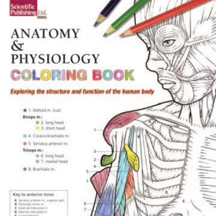 Anatomy & Physiology Colouring Book: Exploring the Structure & Function of the Human Body