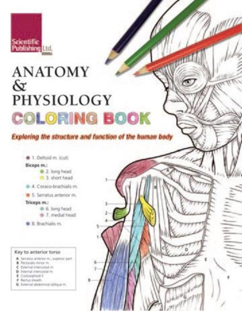 Anatomy & Physiology Colouring Book: Exploring the Structure & Function of the Human Body