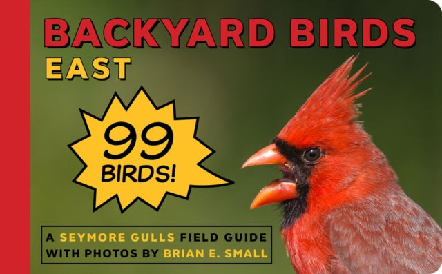 Backyard Birds: East