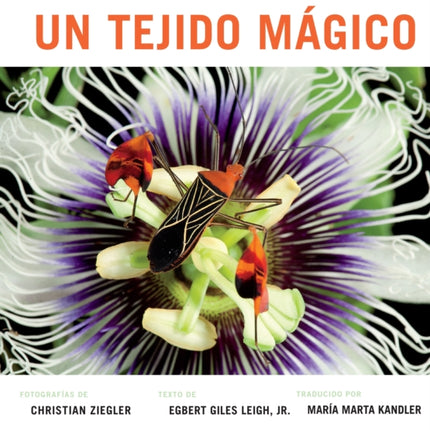 Un Tejido Magico: El Bosque Tropical de Isla Barro Colorado (Spanish Edition)