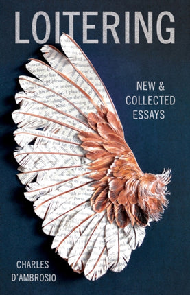 Loitering New and Collected Essays