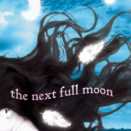 The Next Full Moon