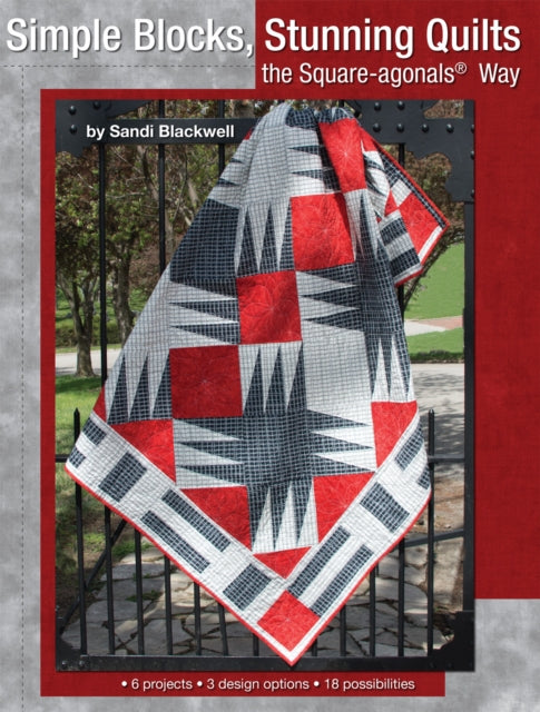 Simple Blocks Stunning Quilts the SquareAgonals Way 6 Projects 3 Design Options 18 Possibilities