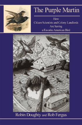 Purple Martin: How Citizen Scientists & Colony Landlords Are Saving a Favorite American Bird