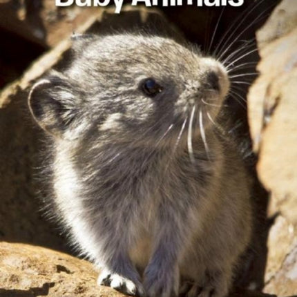 Our Nevada: Baby Animals