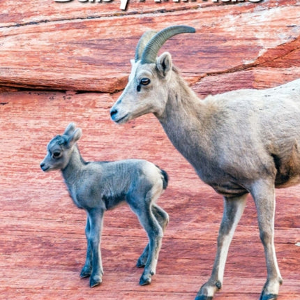 Our Arizona: Baby Animals: Baby Animals