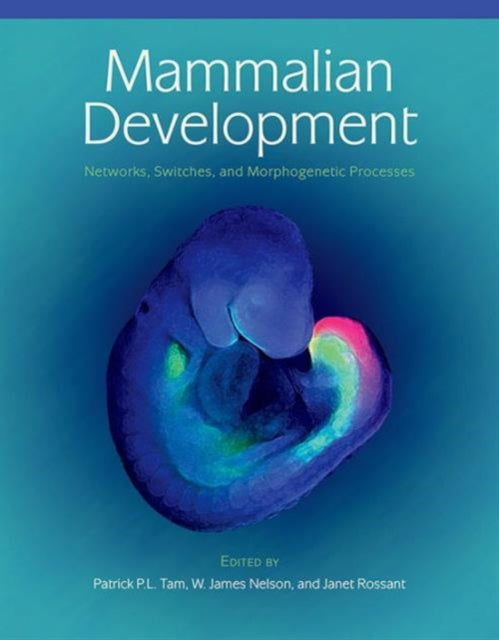 Mammalian Development: Networks, Switches, and