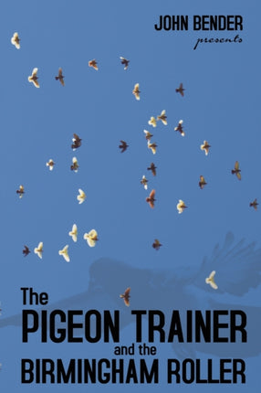The Pigeon Trainer and the Birmingham Roller