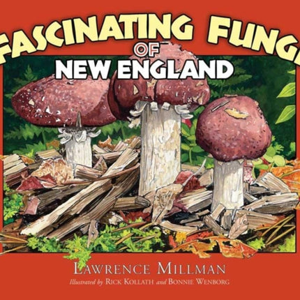 Fascinating Fungi of New England