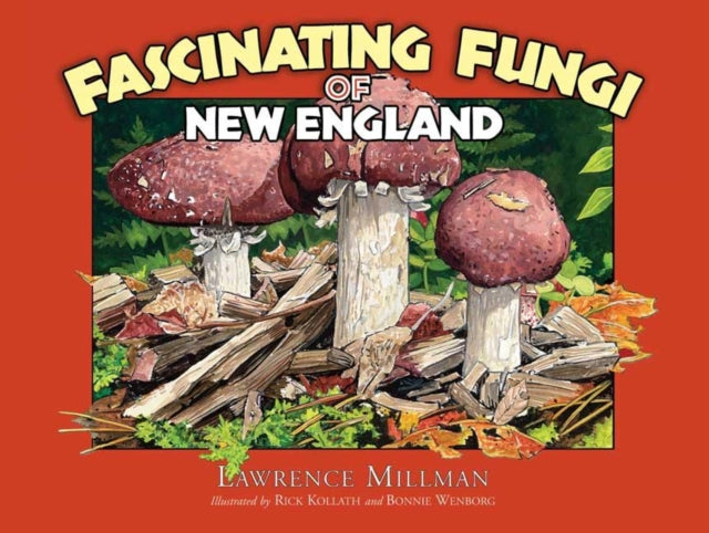 Fascinating Fungi of New England