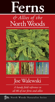 Ferns & Allies of the North Woods: A Handy Field