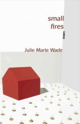 Small Fires: Essays