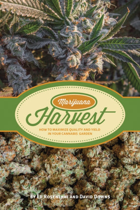 Marijuana Harvest: How to Maximize Quality and Yield in Your Cannabis Garden