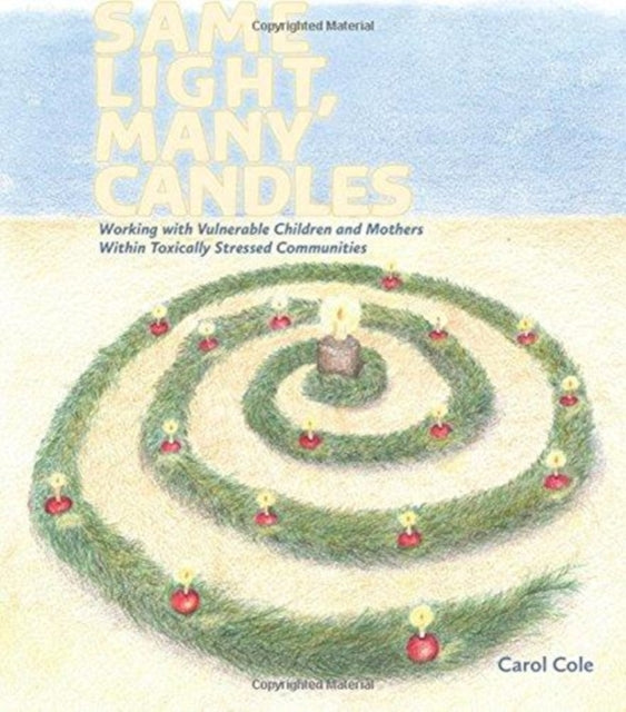 Same Light, Many Candles: Working with Vulnerable Children and Mothers within Toxically Stressed Communities