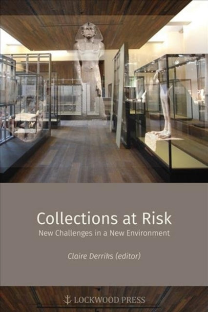 Collections at Risk: New Challenges in a New Environment