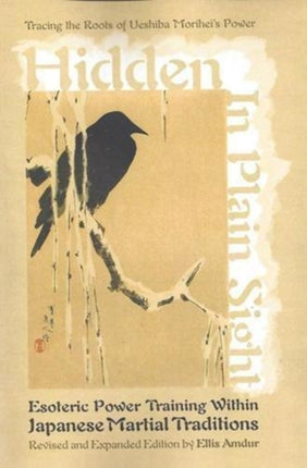 Hidden in Plain Sight: Esoteric Power Training within Japanese Martial Traditions (Revised and Expanded Edition)