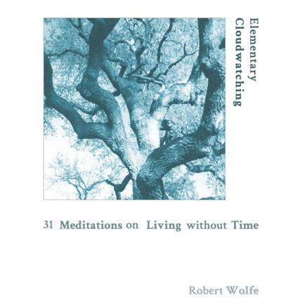 Elementary Cloudwatching: 31 Meditations on