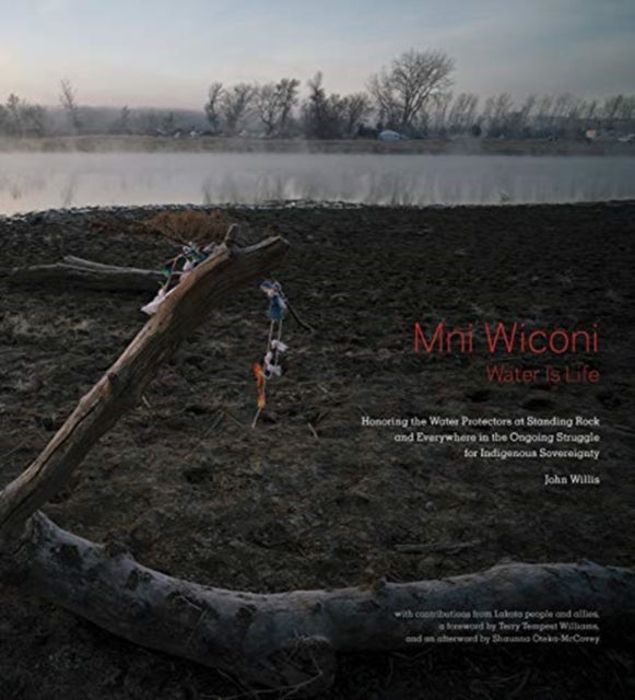 Mni Wiconi/Water is Life: Honoring the Water Protectors at Standing Rock and Everywhere in the Ongoing Struggle for Indigenous Sovereignty