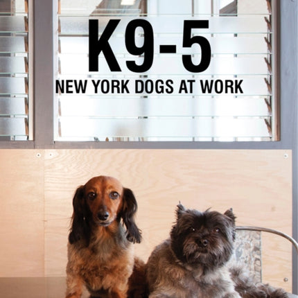 K9-5: New York Dogs at Work