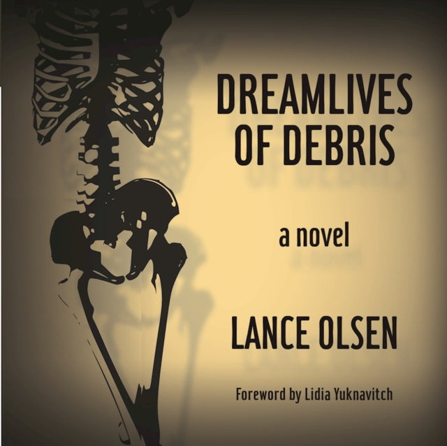 Dreamlives of Debris