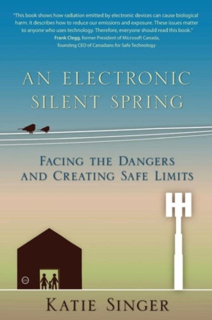 An Electronic Silent Spring: Facing the Dangers and Creating Safe Limits