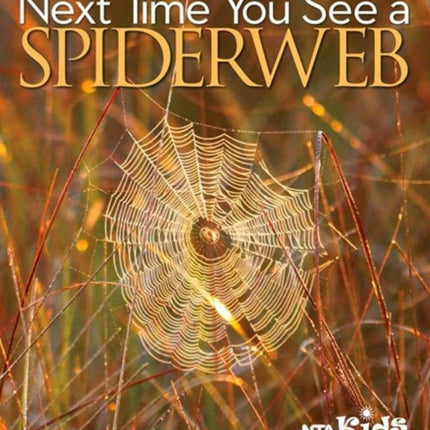 Next Time You See a Spiderweb