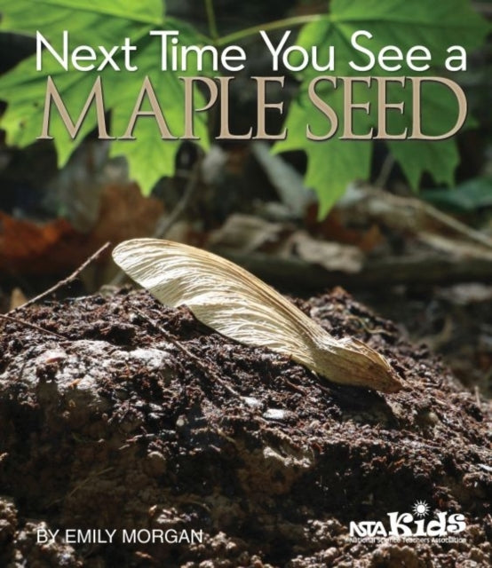 Next Time You See a Maple Seed