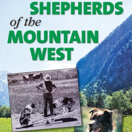 Australian Shepherds of the Mountain West