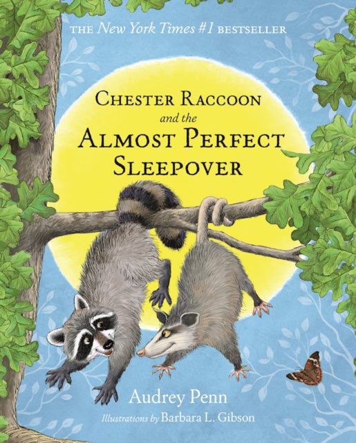 Chester Raccoon and the Almost Perfect Sleepover