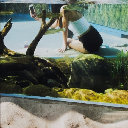 Aquarium