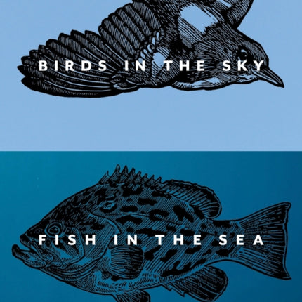Birds in the Sky Fish in the Sea